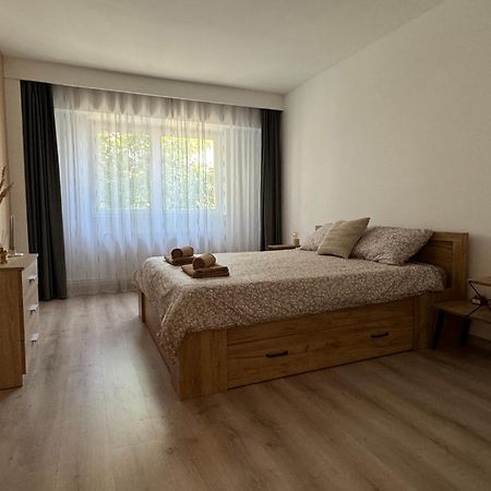 Lareina Apartament Kaloşvar Dış mekan fotoğraf